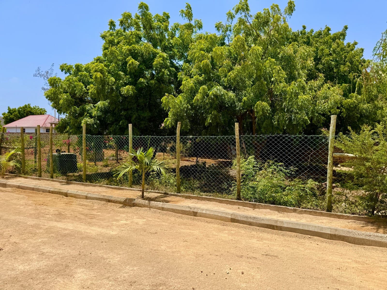 The creek at Kilifi, seen from the plots above it